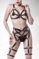 Preview: 3-teiliges Erotikset von Grey Velvet Preview: 3-teiliges Erotikset von Grey Velvet