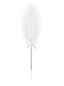 Preview: A716 Feder Preview: A716 Feder