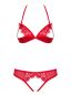 Mobile Preview: BH und String ouvert - rot - Collection Emma