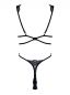 Preview: Belisis Teddy Preview: Belisis Teddy