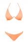 Preview: Bikini Paralia coral