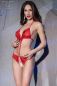 Preview: Body CR4410 rot rot 2-6961