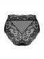 Preview: Elizenes Panties