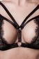 Preview: Erotikset von Grey Velvet Preview: Erotikset von Grey Velvet