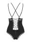Preview: Lolitte Teddy Preview: Lolitte Teddy