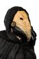 Preview: Pestarzt Maske Preview: Pestarzt Maske