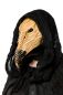 Preview: Pestarzt Maske Preview: Pestarzt Maske