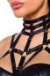 Preview: Harness-Wetlook-Set mit Rock Preview: Harness-Wetlook-Set mit Rock